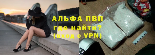 spice Богородицк