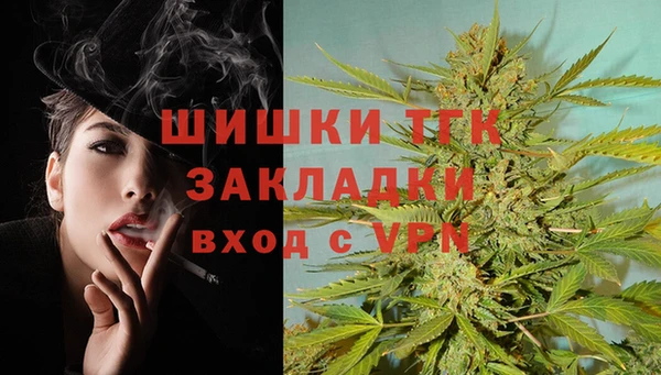 2c-b Бородино