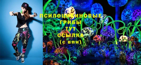 spice Богородицк