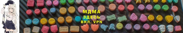 spice Богородицк