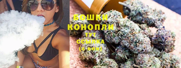 2c-b Бородино