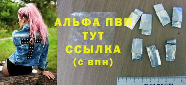 spice Богородицк