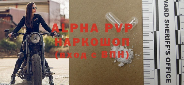 spice Богородицк