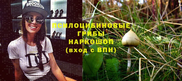 spice Богородицк
