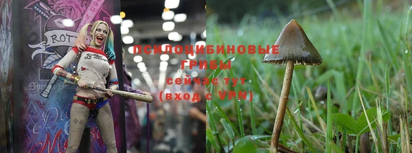 spice Богородицк